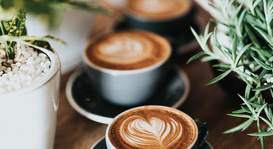 Fui un buen café, y seré un excelente fertilizante. - nacionplanta