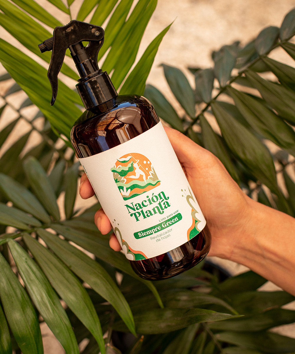 Pack de fertilizante natural y vasija de autorriego -Pack Verde-