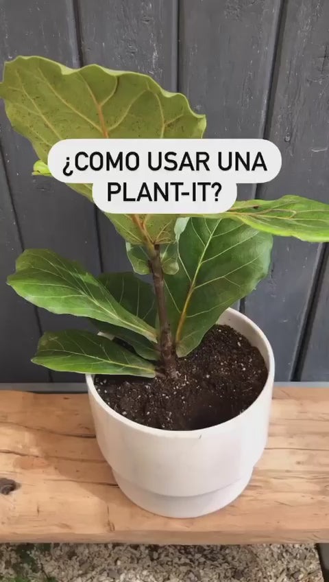 Pack x3 Plant-it 350cc -Pack Autorriego- – nacionplanta